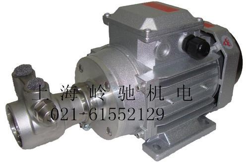 意大利納特NUERT 三相單相高壓旋轉葉片泵 增壓泵 穩壓泵 意大利納特NUERT 三相單相高壓旋轉葉片泵 增壓泵 穩壓泵