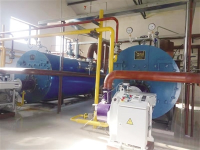 大連生物質鍋爐廠家直銷