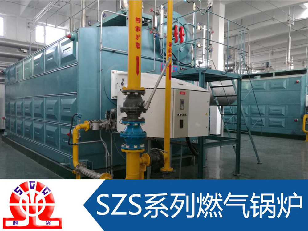 環保蒸汽鍋爐廠家 供應然天然氣鍋爐