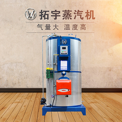 廠家直銷燃氣蒸汽發生器