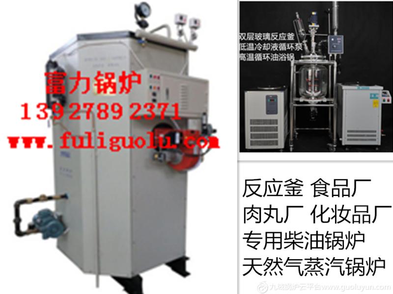 200公斤酒店桑拿美容院加熱消毒專用燃氣蒸汽鍋爐/高效蒸汽發生器