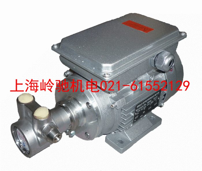 不銹鋼單相大馬力高壓旋轉葉片泵 石墨泵 滑片泵 高壓泵 增壓葉片泵 小流量泵 不銹鋼單相大馬力高壓旋轉葉片泵 石墨泵 滑片泵 高壓泵 增壓葉片泵 小流量泵