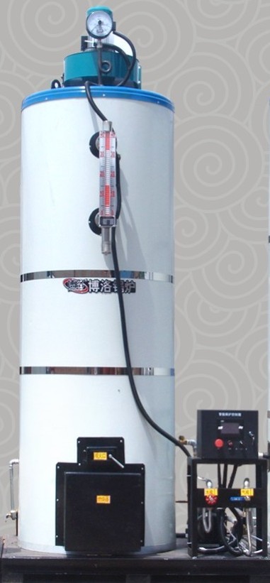 河北省博洛鍋爐全自動燃氣蒸汽發生器